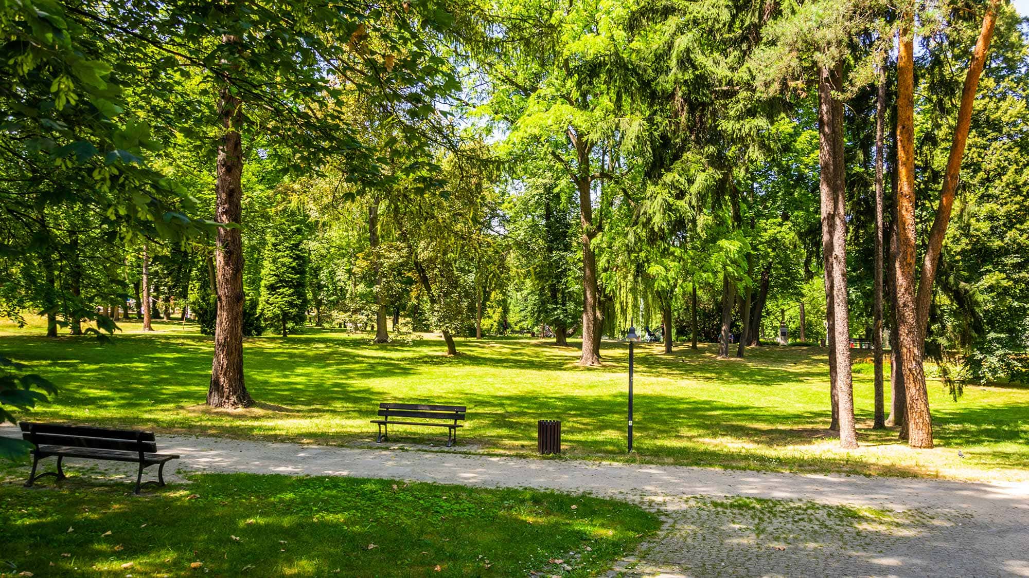 Ein sonnenbeschienener Park in der Nähe der Hofackerstrasse 10 in Muttenz bietet grünes Gras, hohe Bäume und Bänke entlang eines gepflasterten Weges. Die Szenerie ist friedlich und von der Sonne beschienen - perfekt zum Entspannen nach einem Besuch in der Erstvermietung.